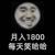 十五岁猫被窝追斗破