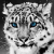 雪老豹