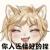 莫璃玲珑月