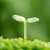 觑觑眼婷婷头像