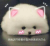 书友20210301106472255456头像