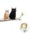 素食小猪头像