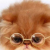 yuncat头像