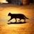 猫游记人头像