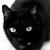 睡懒觉的黑喵头像