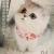 猫爪乱抓