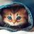 哔哩哔里头像