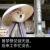 快乐久久Y头像