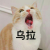 砼萌军