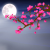 声飞双