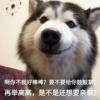 的头像