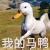 吃水的鲸头像