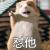 698635.qdcn头像