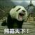 她訫誰晓头像