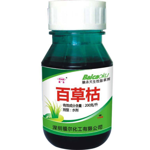 伴读小牧童的头像