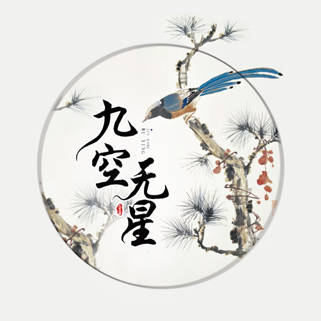 九空无星的头像.