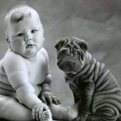 幼儿园一把手的头像