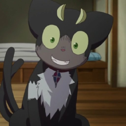 71万字某失忆猫