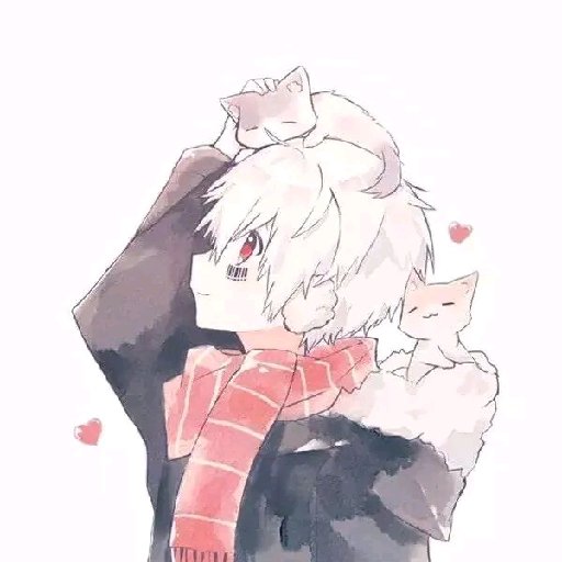 (此书霍雨浩开局就娘化,接受不了请勿进.