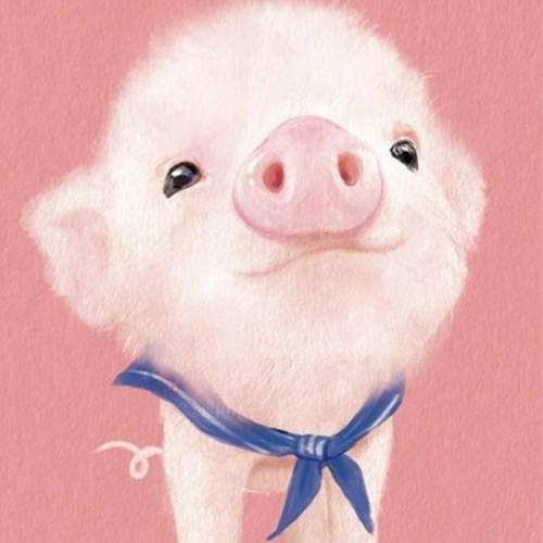 小香猪不能吃全部小说作品, 小香猪不能吃最新好看