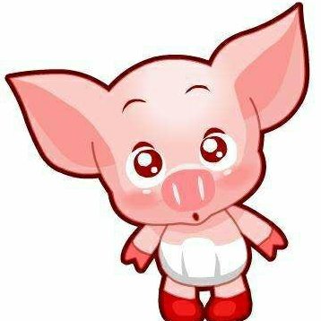 猪耳朵会飞小说大全