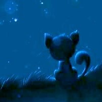 星尘初现的头像.
