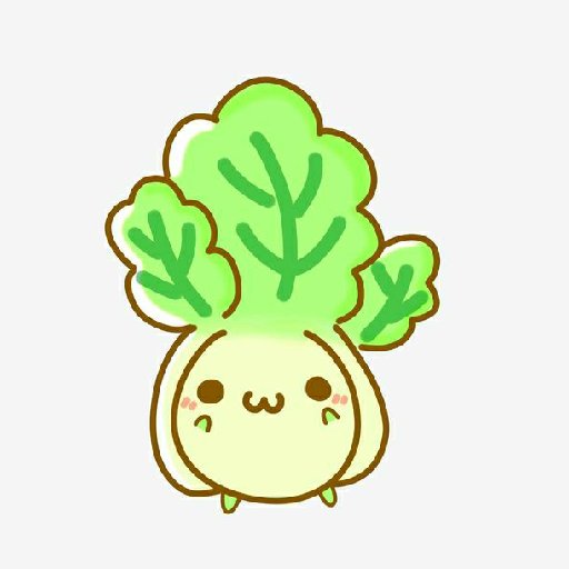 好吃大白菜的头像