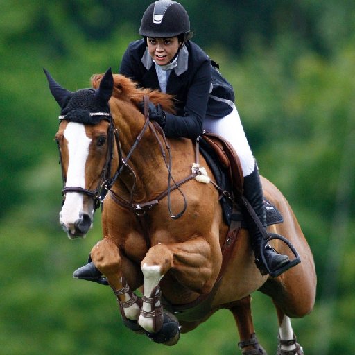 振羽长离的头像