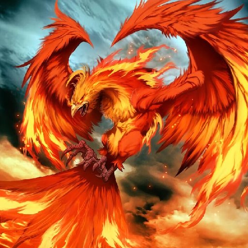 天火之鳯的头像