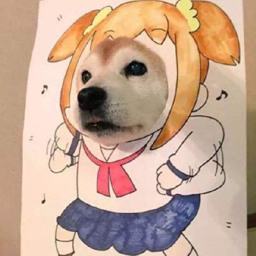 小小呆比的头像