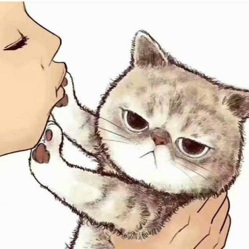 傲娇的猫小懒的头像