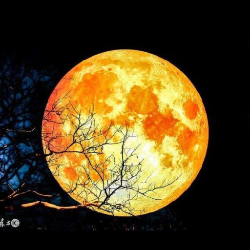 天穹红月的头像