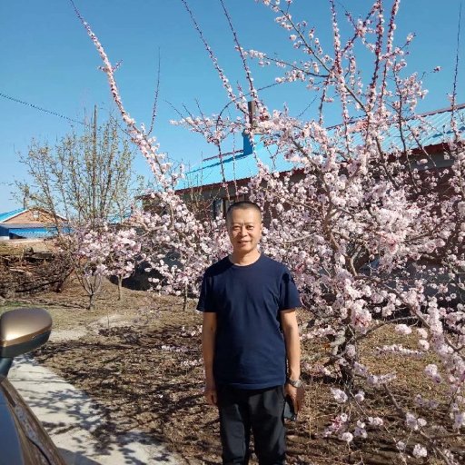 秦岩涛小说大全