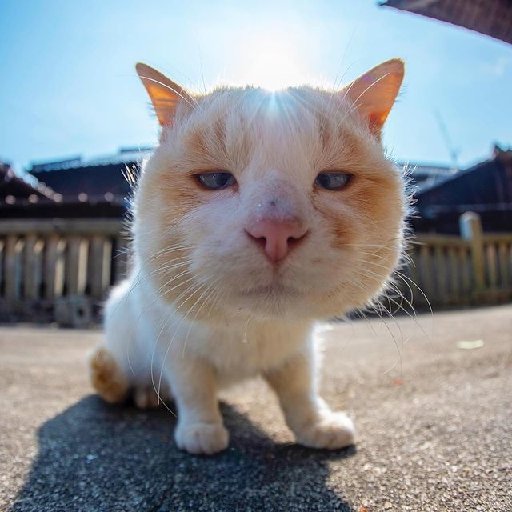 03万字一个是御前侍卫,一个是商家庶子;一个无情无爱,一个有情不能