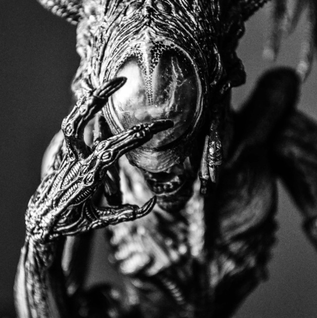 妄想异形的头像