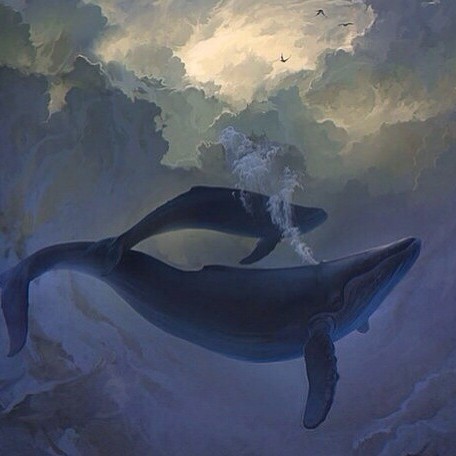 鲸鱼梦幻头像图片