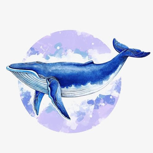 一只深海蓝鲸的头像