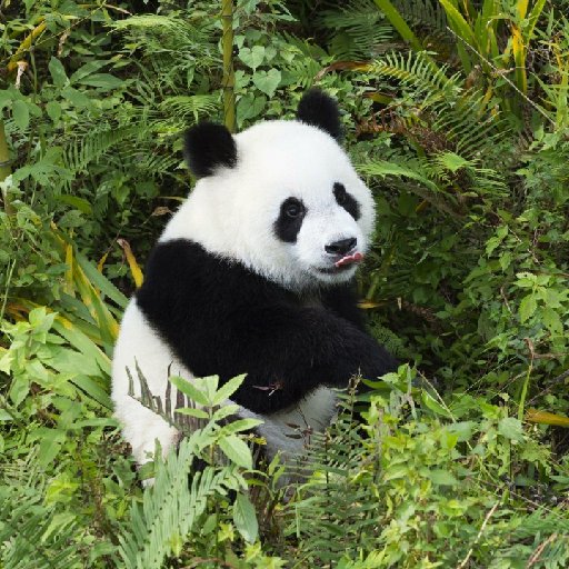 在子爵领开始当领主 盛世野犬 最新章节在线阅读 在子爵领开始当领主小说全文在线阅读 起点中文网