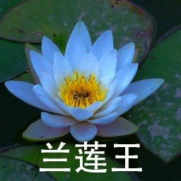 长娇全部小说 最新章节更新 起点中文网