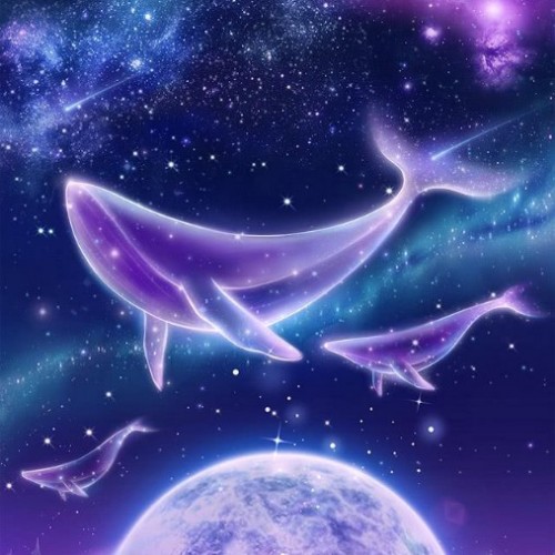 星辰映大海的头像