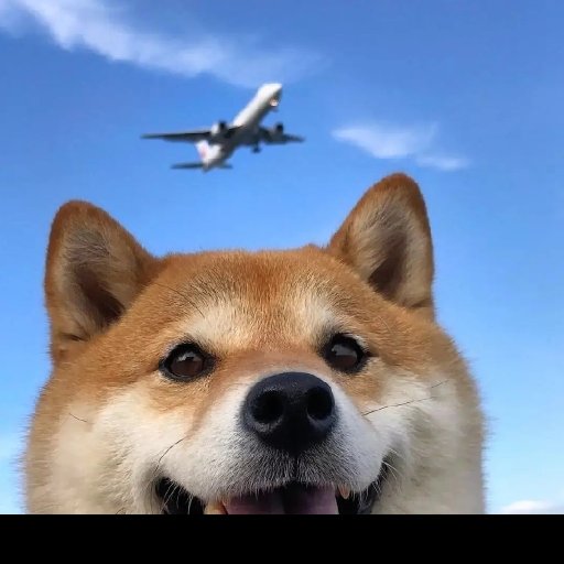 但求一知音的头像