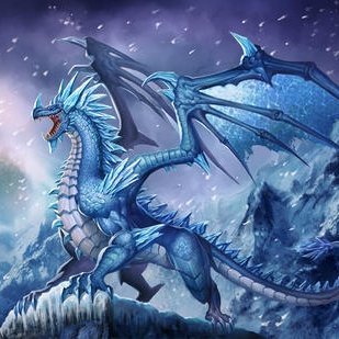 极寒神龙的头像