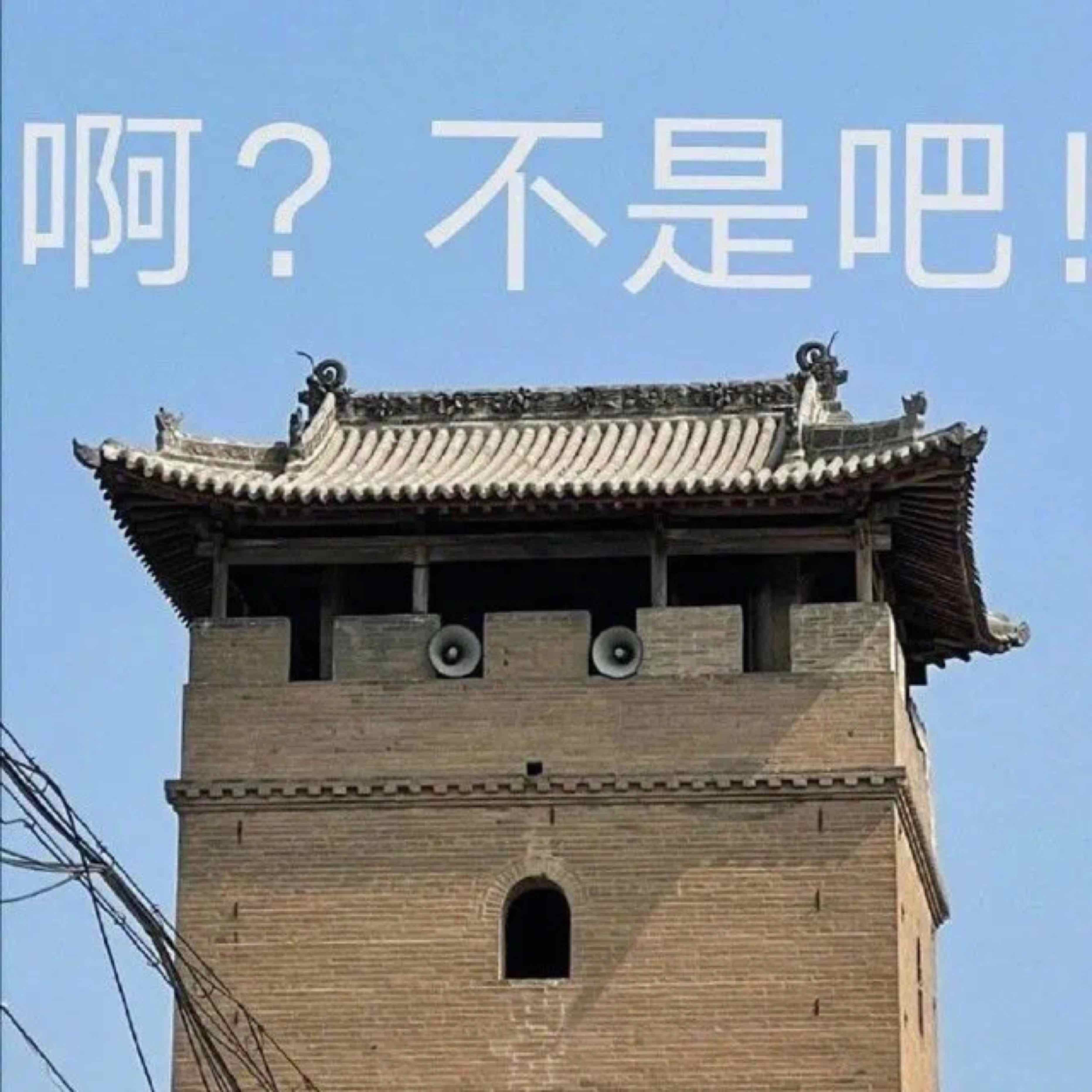 坑神景天的头像