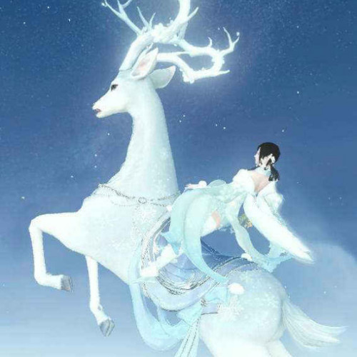 九色灵鹿的头像