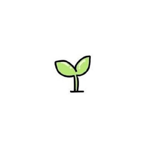 怒放的小豆芽的头像