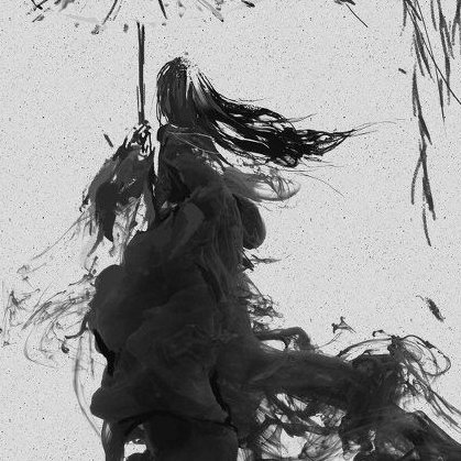 清曲听风的头像