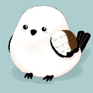 软软的肥啾的头像