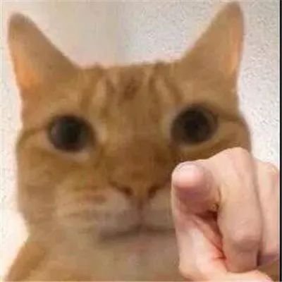 婚姻事务所 栗罐猫 最新章节免费在线阅读 婚姻事务所小说全文在线阅读 起点中文网