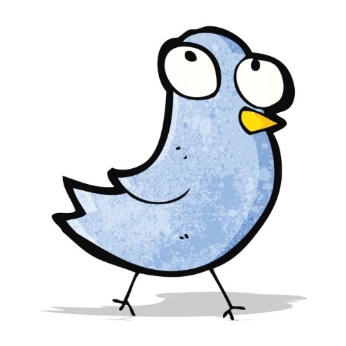 阳光下的知更鸟的头像