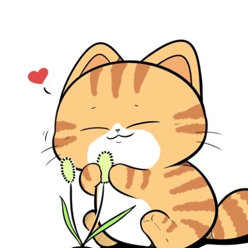 大橘为重啊的头像